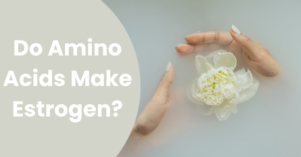 Do Amino Acids Make Estrogen?