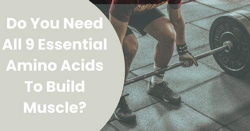 Do You Need All 9 Essential Amino Acids To Build Muscle?