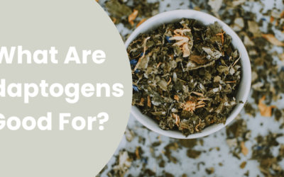 What Are Adaptogens Good For?