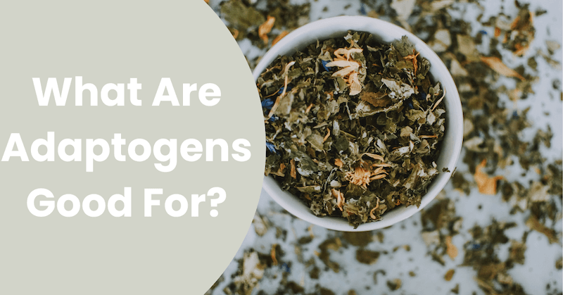 What Are Adaptogens Good For?